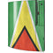 Guyana Flag Distressed Playstation 3 & PS3 Skin
